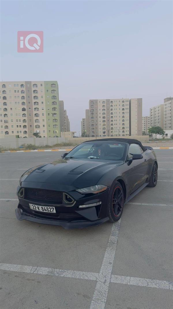 فۆرد مۆستانگ 2021  بۆ فرۆشتن لە عێراق -  بەغداد